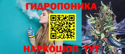 прущие грибы Вышний Волочёк